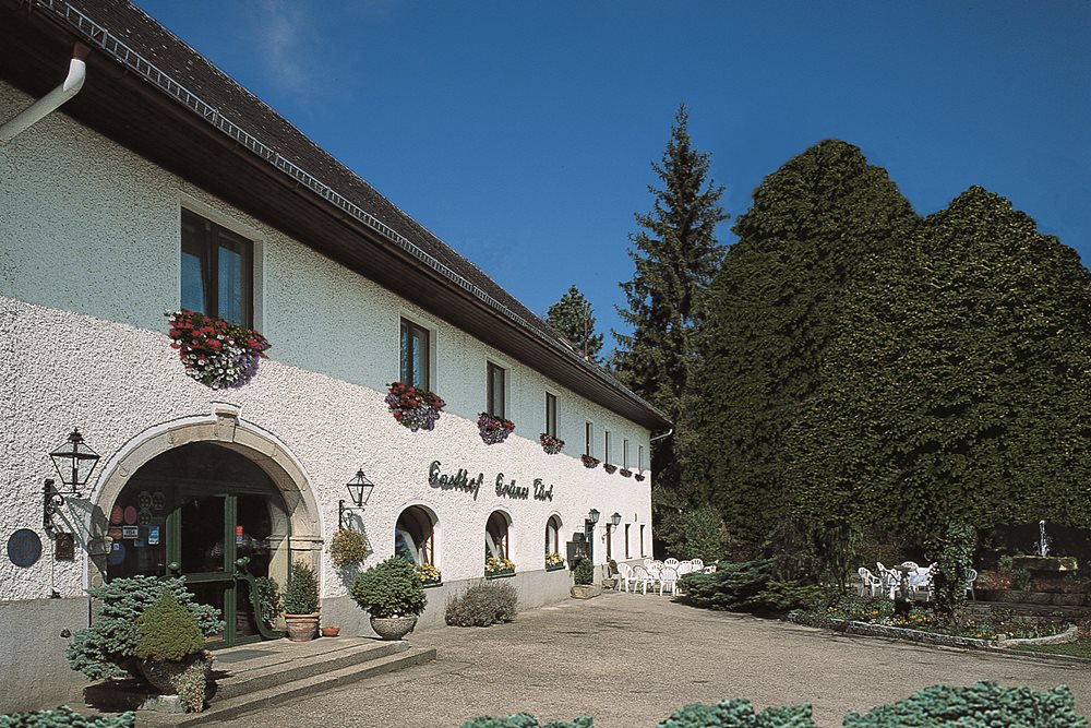 Hotel & Restaurant Grünes Türl - Familie Ameshofer in Bad Schallerbach